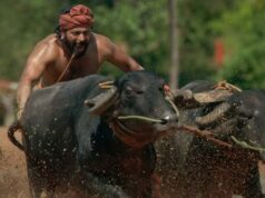 Another South Indian Superstar refuses to work in Bollywood