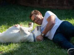 Netflix has made available the official trailer for the upcoming family film Dog Gone.