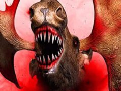 An Update on Moose Jaws from Kevin Smith