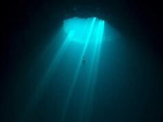 The documentary The Deepest Breath was bought by Netflix.