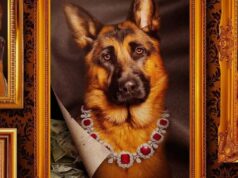 The Netflix docuseries Gunther’s Millions has released a teaser to investigate the lives of the richest dog.