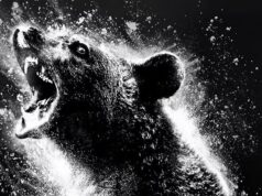 ‘Cocaine Bear’ 8-Bit Video Game Let Players Join in on the Action