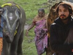 Oscars 2023: All of us were trying to only tell a story as honestly as possible, says The Elephant Whisperers cinematographer